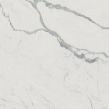 FAP Roma Gold С000552948 fPZW_RomaGold120X120CarraraSuperioreBrill keramisch graniet 120x120 cm, Italië, carrara-marmer - foto 1 - foto 1