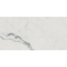 FAP Roma Gold С000552923 fPZ2_RomaGold60X120CarraraSuperioreBrill keramisch graniet 60x120 cm, Italië, carrara-marmer - foto 1 - foto 1