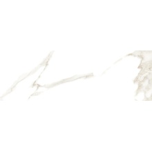 FAP Roma С000311063 fLSN_Roma75Calacatta (new code fRFC) carreau mural 25x75 cm, Italie, calacatta - photo 1 - photo 1