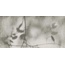 Flaviker Art Walls С000598948 PF60012582_ART WALLS SHADOW NAT R60X120 gres porcellanato 60x120 cm, Italia - foto 1 Flaviker Art Walls С000598948 PF60012582_ART WALLS SHADOW NAT R60X120 gres porcellanato 60x120 cm, Italia - foto 1