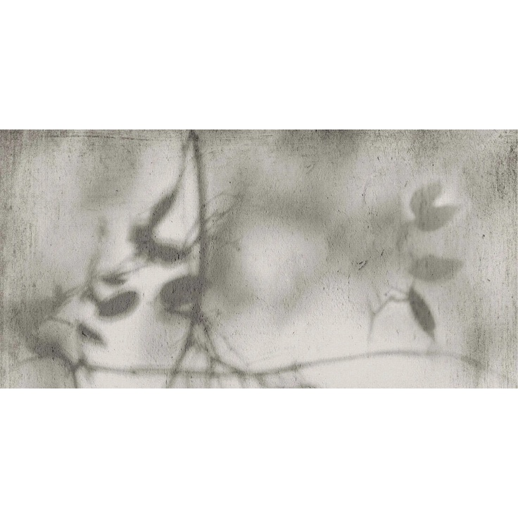 Flaviker Art Walls С000598948 PF60012582_ART WALLS SHADOW NAT R60X120 gres porcellanato 60x120 cm, Italia - foto 1 Flaviker Art Walls С000598948 PF60012582_ART WALLS SHADOW NAT R60X120 gres porcellanato 60x120 cm, Italia - foto 1