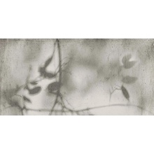 Flaviker Art Walls С000598948 PF60012582_ART WALLS SHADOW NAT R60X120 porcelain tile 60x120 cm, Italy - photo 1 - photo 1
