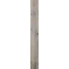 Flaviker Dakota С000299846 DK2713R_Dk.DakotaNatur.Rt.20X17020X170 granitkeramik 20x170 cm, Italien, traimitation - foto 1 - foto 1
