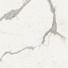 Flaviker Supreme Evo С000606589 PF60005726_SUPREME EVO STAT.SUPERIOR RET porcelain tile 120x120 cm, Italy, statuario - photo 1 - photo 1