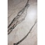 Flaviker Supreme Hedonism 60x120, oglaserad keramisk granit, Italien, andra typer av marmor - interiörfoto 6