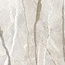 Flaviker Supreme Hedonism С000612834 PF60017236_SPR.HEDON. SILV.ROOTS LU3 R120X120 gres porcellanato 120x120 cm, Italia, altri tipi di marmo - foto 1 Flaviker Supreme Hedonism С000612834 PF60017236_SPR.HEDON. SILV.ROOTS LU3 R120X120 gres porcellanato 120x120 cm, Italia, altri tipi di marmo - foto 1