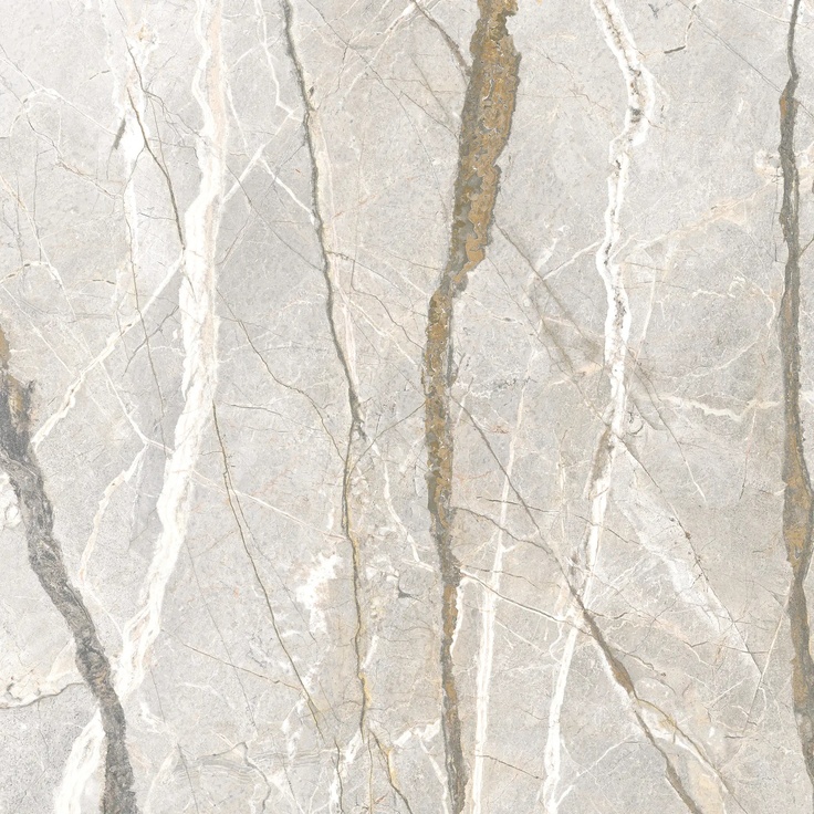 Flaviker Supreme Hedonism С000612834 PF60017236_SPR.HEDON. SILV.ROOTS LU3 R120X120 gres porcellanato 120x120 cm, Italia, altri tipi di marmo - foto 1 Flaviker Supreme Hedonism С000612834 PF60017236_SPR.HEDON. SILV.ROOTS LU3 R120X120 gres porcellanato 120x120 cm, Italia, altri tipi di marmo - foto 1
