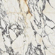 Flaviker Supreme Treasure С000525416 PF60009060_Spr.Treas.CorchiaGoldNatR120X120 grès cérame 120x120 cm, Italie, autres types de marbre - photo 1 - photo 1