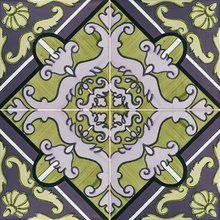 Francesco De Maio Fiori Scuri С000285081 Pastena Verde marcio, Prugna_20*20 Azulejo para suelo 20x20 cm, Italia - foto 1 - foto 1