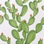 Francesco De Maio Verde Verticale С000412029 Verde Verticale Cactus 53*53 Piastrella per pavimento 53x53 cm, Italia - foto 1