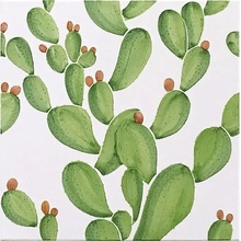 Francesco De Maio Verde Verticale С000412029 Verde Verticale Cactus 53*53 Carreau de sol 53x53 cm, Italie - photo 1 - photo 1