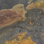 Gambini Bet С000504602 INDIAN SUMMER 60x60 porcelain tile 60x60 cm, Italy, other types of stone - photo 1