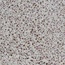 Gambini D_Lash С000467517 60x60 DEEP PINK Feinsteinzeug 60x60 cm, Italien, terrazzo - Foto 1 Gambini D_Lash С000467517 60x60 DEEP PINK Feinsteinzeug 60x60 cm, Italien, terrazzo - Foto 1