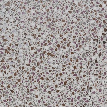 Gambini D_Lash Deep Pink gres porcelanato 60x60 cm, Itália, terrazzo - foto 1 - foto 1