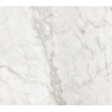 Gardenia Orchidea Bon Ton 0020775 Carrara An3 R gres porcellanato 120x120 cm, Italia, effetto marmo - foto 1 - foto 1