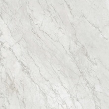 Gardenia Orchidea Bon Ton PF60020799 CARRARA NA3 R gres porcellanato 120x120 cm, Italia, marmo di carrara - foto 1 - foto 1