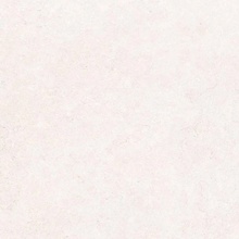 Gardenia Orchidea La Geoteca С000615854 0012080_LA GEOTECA LIMESTONE NAT R 80X80 gres porcelanato 80x80 cm, Itália, calcário - foto 1 - foto 1