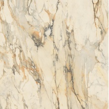 Gardenia Orchidea La Marmoteca 0010680 Antique Brown Soft Ret gres porcelanato 120x120 cm, Itália, efeito marmore - foto 1 - foto 1