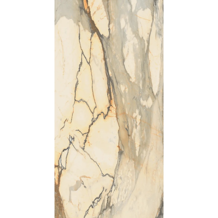 Gardenia Orchidea La Marmoteca С000576902 G0027060_MARMOTECA ANTIBR LUXR 60X120 porcelain tile 60x120 cm, Italy, other types of marble - photo 1 Gardenia Orchidea La Marmoteca С000576902 G0027060_MARMOTECA ANTIBR LUXR 60X120 porcelain tile 60x120 cm, Italy, other types of marble - photo 1