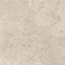 Gardenia Orchidea Pietra Viva С000614300 0012911_PTR.VIVA BEIGE NAT R120X120 Керамогранит 120x120 см, Италия, ceppo di gré - фото 1 Gardenia Orchidea Pietra Viva С000614300 0012911_PTR.VIVA BEIGE NAT R120X120 Керамогранит 120x120 см, Италия, ceppo di gré - фото 1