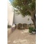 Gardenia Orchidea Tabulae 10x60, lasitettu porcelanato, Italia, puu - sisustuskuva 15