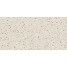 Gigacer Inclusioni Classico С000536056 12INCCL60120AVORMA_Inclusioni Classico Avorio Mat 60x120 12mm grès cérame 60x120 cm, Italie, terrazzo - photo 1 - photo 1