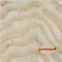 Giovanni De Maio 03/ Cristina Celestino С000576522 Thalassa Decoro 3 Avana 20*20 Dekor 20x20 cm, Italien - foto 1 - foto 1