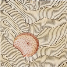 Giovanni De Maio 03/ Cristina Celestino С000576520 Thalassa Decoro 2 Avana 20*20 Dekor 20x20 cm, Italien - foto 1 - foto 1