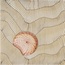 Giovanni De Maio 03/ Cristina Celestino С000576520 Thalassa Decoro 2 Avana 20*20 Decor 20x20 cm, Italy - photo 1