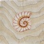 Giovanni De Maio 03/ Cristina Celestino С000576524 Thalassa Decoro 4 Avana 20*20 Decor 20x20 cm, Italy - photo 1