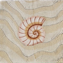 Giovanni De Maio 03/ Cristina Celestino С000576524 Thalassa Decoro 4 Avana 20*20 Dekor 20x20 cm, Italien - foto 1 - foto 1