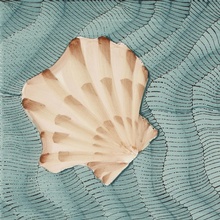 Giovanni De Maio 03/ Cristina Celestino С000576519 Thalassa Decoro 1 Giada 20*20 Dekor 20x20 cm, Italien - foto 1 - foto 1