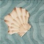 Giovanni De Maio 03/ Cristina Celestino С000576519 Thalassa Decoro 1 Giada 20*20 Decor 20x20 cm, Italy - photo 1