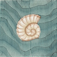 Giovanni De Maio 03/ Cristina Celestino С000576525 Thalassa Decoro 4 Giada 20*20 Dekor 20x20 cm, Italien - foto 1 - foto 1