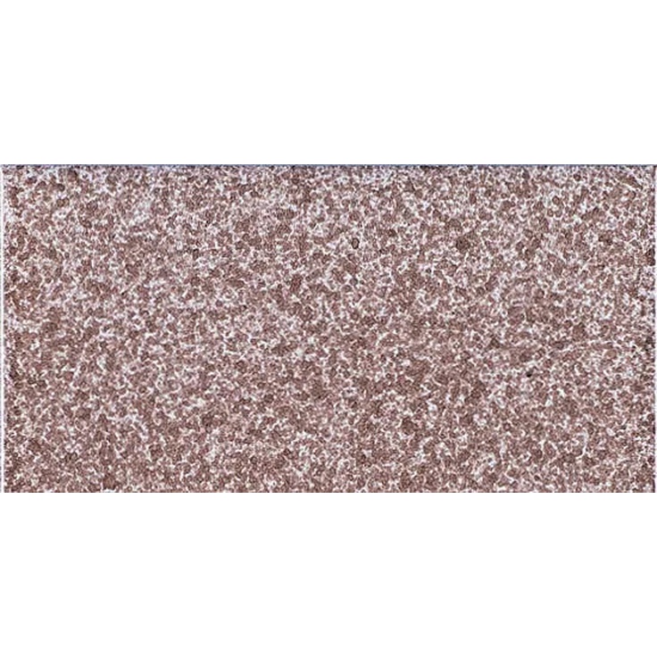 Giovanni De Maio Ceramica Artistica Vietrese С000267507 Manganese Spugnato Fondo 10*20 Piastrella per pavimento 10x20 cm, Italia - foto 1 Giovanni De Maio Ceramica Artistica Vietrese С000267507 Manganese Spugnato Fondo 10*20 Piastrella per pavimento 10x20 cm, Italia - foto 1