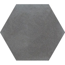Grandinetti Anima С000355573 A8 Blue Black Esagono Natural_20*20 Gulvflise 20x20 cm, Italien - foto 1 - foto 1