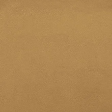 Grandinetti Anima С000355548 A3 India Yellow Natural_20*20 Gulvflise 20x20 cm, Italien - foto 1 - foto 1
