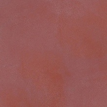 Grandinetti Anima С000352406 A21 Red Clay Natural_20*20 Gulvflise 20x20 cm, Italien - foto 1 - foto 1