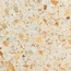 Grandinetti Gra Veneziana С000491124 203 Giallo Siena Polished-Bevelled 60*60 Podlahová dlaždice 60x60 cm, Itálie - fotografie 1 Grandinetti Gra Veneziana С000491124 203 Giallo Siena Polished-Bevelled 60*60 Podlahová dlaždice 60x60 cm, Itálie - fotografie 1