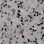 Grandinetti Gra Veneziana С000491180 214 Grigio Venato Polished-Bevelled 60*60 Floor tile 60x60 cm, Italy - photo 1 Grandinetti Gra Veneziana С000491180 214 Grigio Venato Polished-Bevelled 60*60 Floor tile 60x60 cm, Italy - photo 1