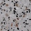 Grandinetti Gra Veneziana С000491173 214 Grigio Venato Antique 40*40 Podlahová dlaždice 40x40 cm, Itálie - fotografie 1 Grandinetti Gra Veneziana С000491173 214 Grigio Venato Antique 40*40 Podlahová dlaždice 40x40 cm, Itálie - fotografie 1