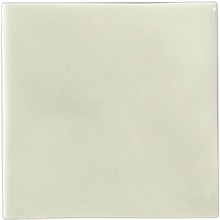 Grazia Essenze ES04 Felce wandtegel 13x13 cm - foto 1 - foto 1