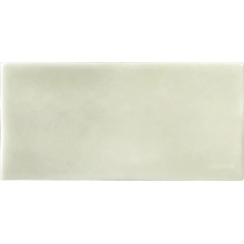 Grazia Essenze NN40 Felce wandtegel 6,5x13 cm - foto 1 - foto 1