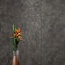 Gresart Avant 60x60 см, porcelanato esmaltado, Portugal, concreto - foto de interior 1