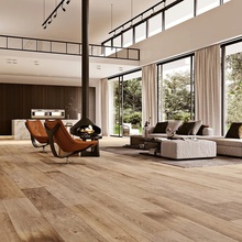 Gresart Vermont 20x120 см, porcelanato esmaltado, Portugal, árbol - foto de interior 1 - foto 4