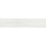 Halcon Baltimore С000403290 BALTIMORE BLANCO 23,3*120 grès cérame 23,3x120 cm, Espagne, arbre - photo 1