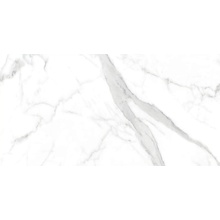 Halcon Capitol С000579760 Capitol Superwhite Mate Rect 60x120 gres porcelanato 60x120 cm, Espanha, outros tipos de mármore - foto 1 - foto 1