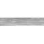 Halcon Selva С000583901 Selva Gris Rect 22,5x119,5 grès cérame 22,5x119,5 cm, Espagne, arbre - photo 1