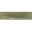 Harmony Bari С000560526 35267_BARI GREEN DECOR/6X24,6 porcelain tile 6x24,6 cm, Spain - photo 1