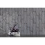Harmony Pasadena 7,5x30 см, keramiek, Spanje - interieurfoto 2 Harmony Pasadena 7,5x30 см, keramiek, Spanje - interieurfoto 2